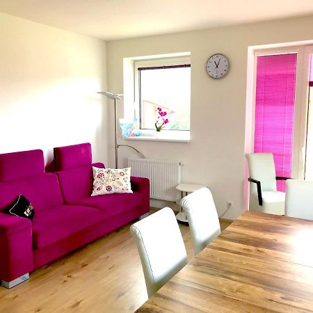 Luxury Keilberg Apartment Loučná pod Klínovcem 外观 照片