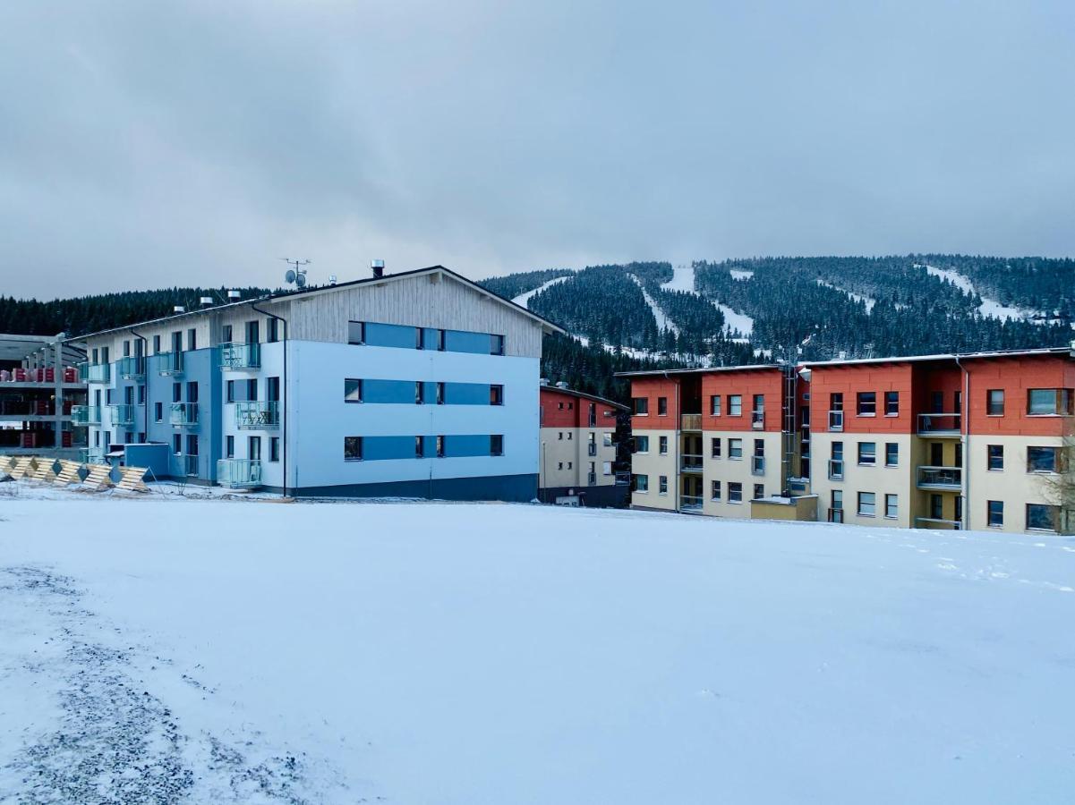 Luxury Keilberg Apartment Loučná pod Klínovcem 外观 照片