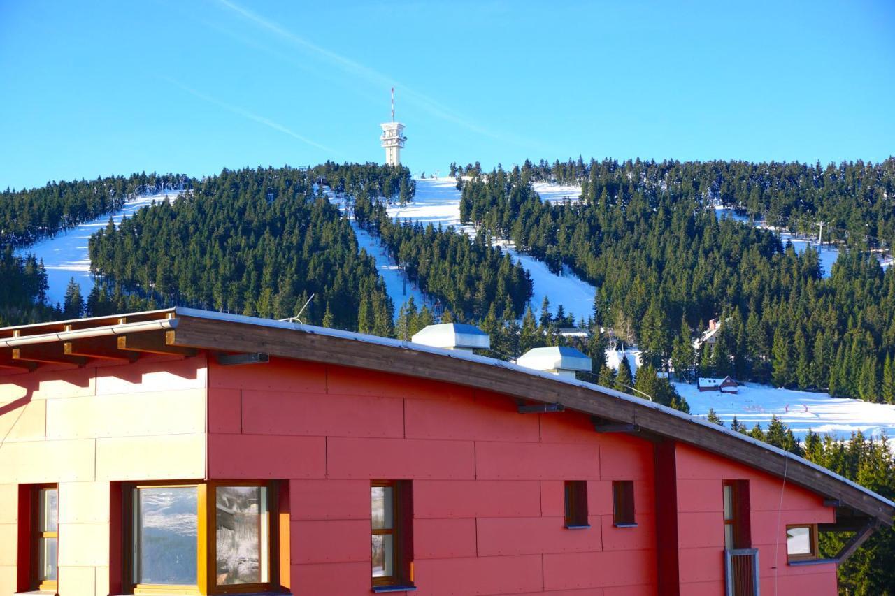 Luxury Keilberg Apartment Loučná pod Klínovcem 外观 照片